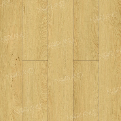 Ламинат NORLAND Elegant Strong LF302-08 Дуб Элмер