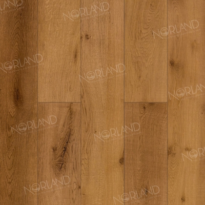 Ламинат NORLAND Elegant LF301-13 Дуб Помона