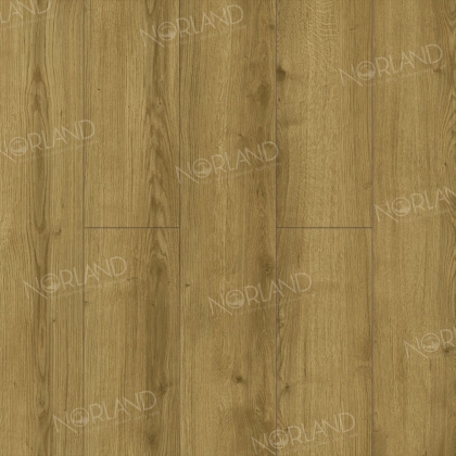 Ламинат NORLAND Elegant LF301-17 Дуб Фанэн